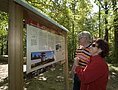 Ein Paar steht vor einer Informationstafel im Burgstallwald.
